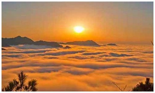 2026最新龙岛异兽龙族大全官网入口在哪？附常见问题解答