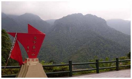 2026最新龙岛异兽龙族大全模拟器能不能玩，附新手避坑建议